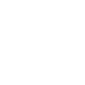 I Survived The Coronavirus 2020